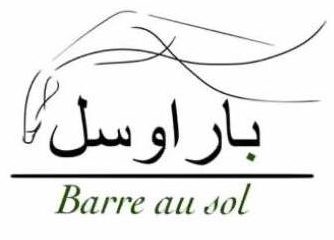 باراوسل-لوگو1